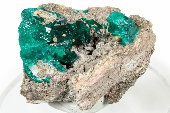 Lustrous Dioptase Crystals On Brown Rock - Congo #303824